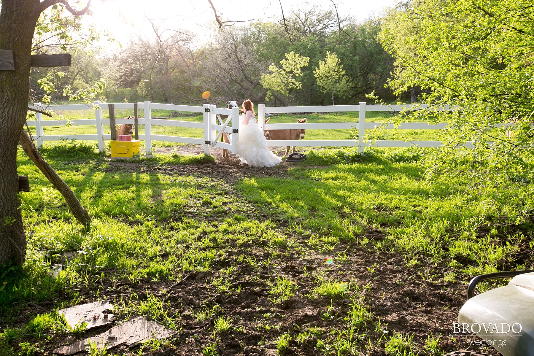 Angie &amp; Matt’s Apple Orchard Wedding Reception