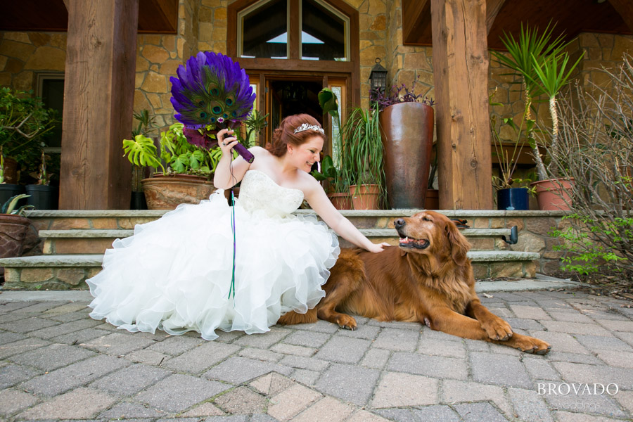 A bride and her dog