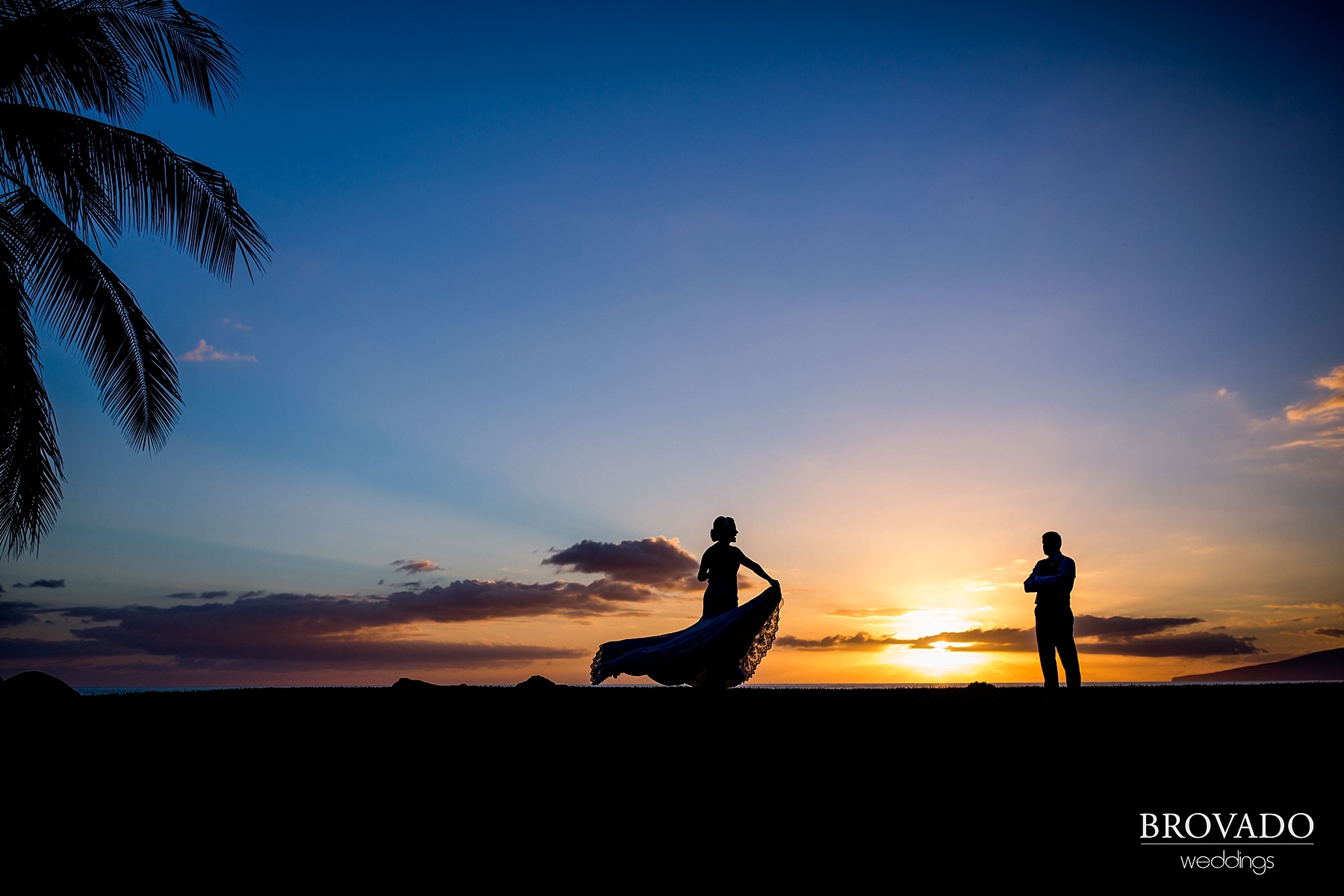 Maui Mn Wedding Photography Minneapolis Wedding Photographers